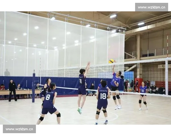 中巴排球强强对决再掀高潮激战四局全景再现赛场精彩瞬间集锦回放